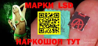 гидра Будённовск