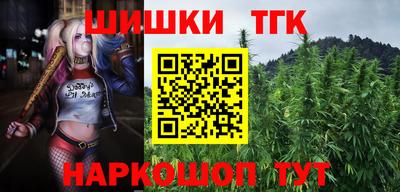 гидра Будённовск