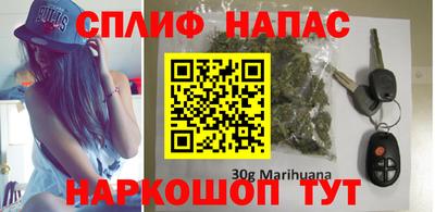 гидра Будённовск